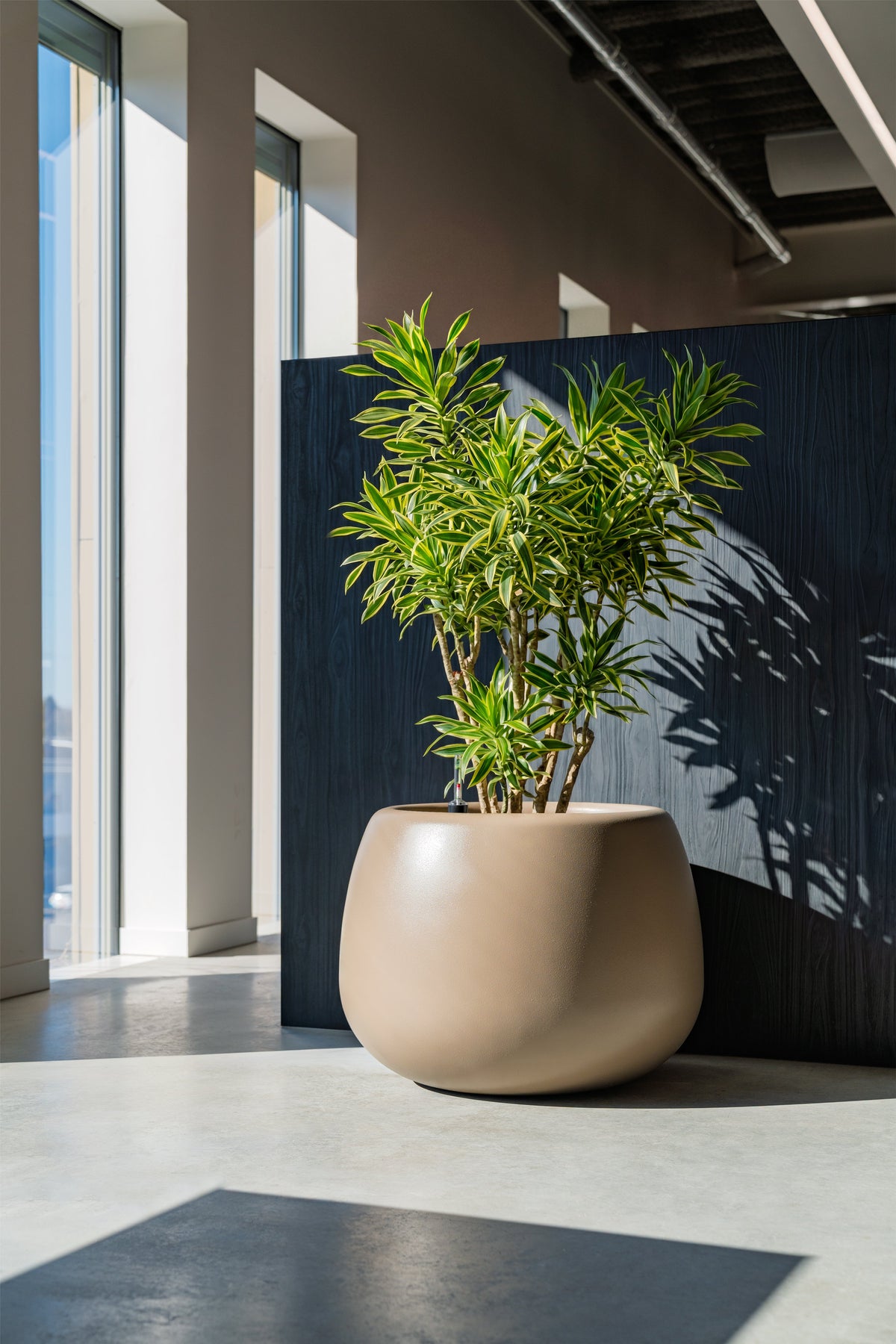 Round planters