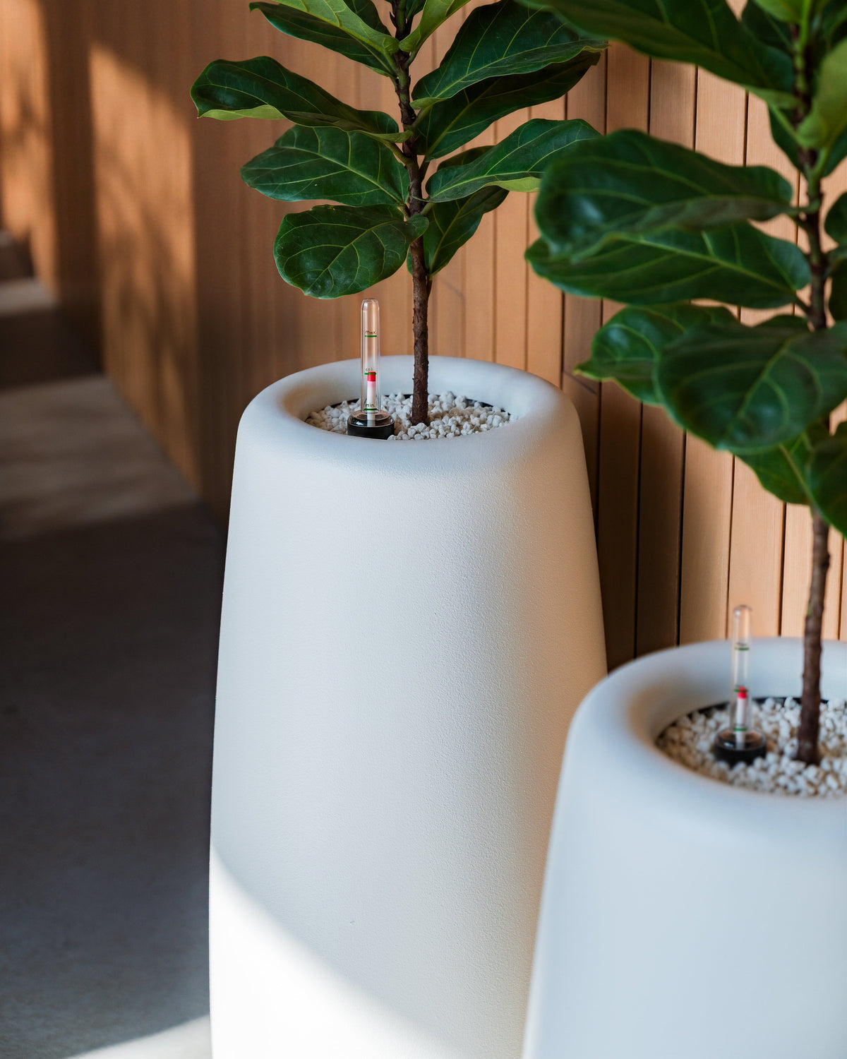 fiberglass planter mero with plant