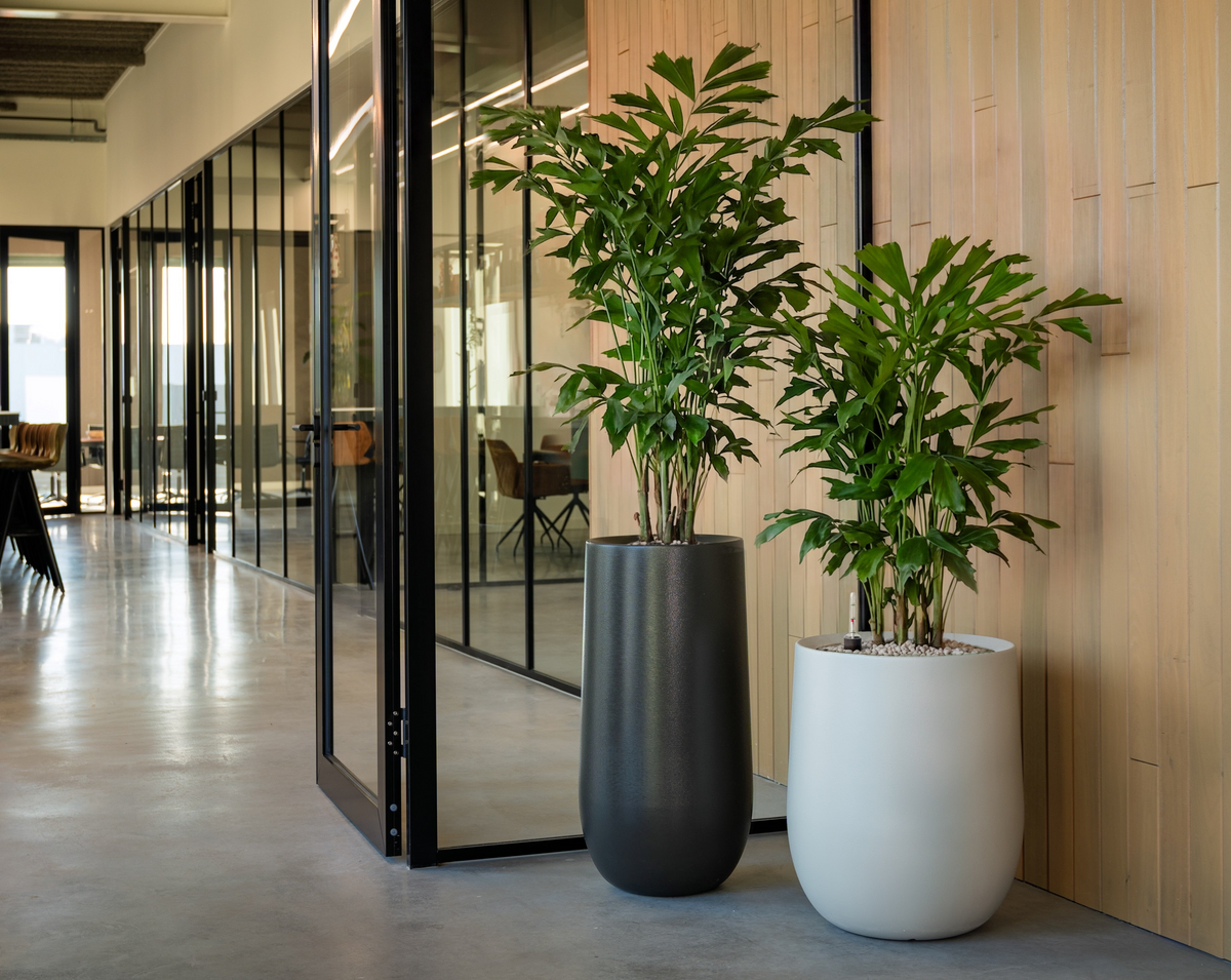 FLOREZZ